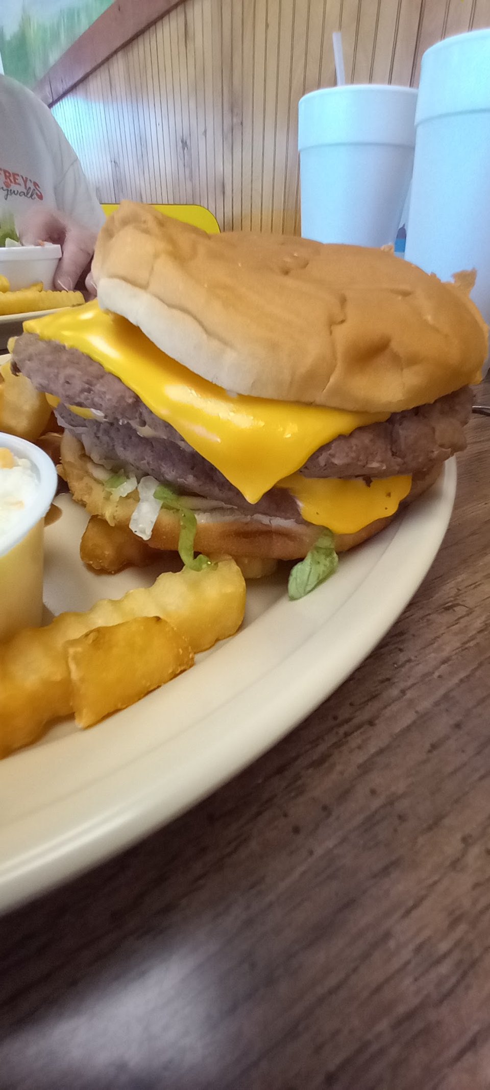 Cheeseburger with Gravey Fries